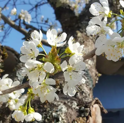 Maison D'hotes Couette-café