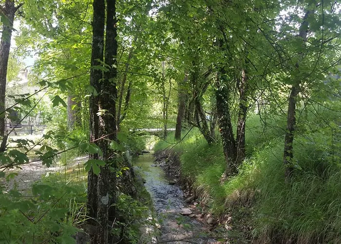 Couette-café Maison D'hotes Castellane
