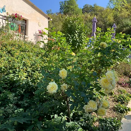 Maison D'hotes Castellane
