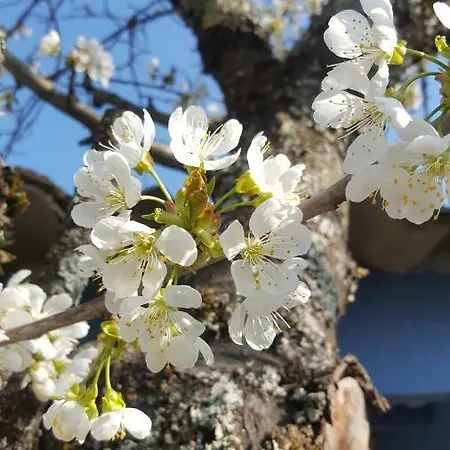 Maison D'hotes Bed & Breakfast