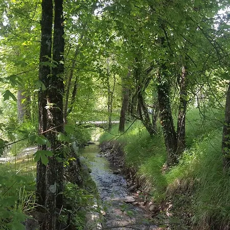 Bed & Breakfast Maison D'hotes Castellane